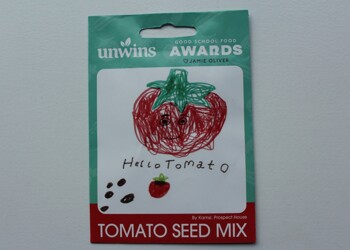 Design Competition Success